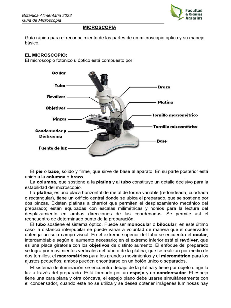 Guía de MICROSCOPÍA | PDF | Microscopio | Lente de la cámara