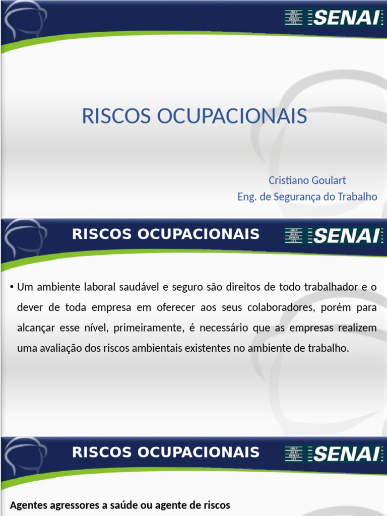 2 - Mapa de Riscos PPRA | PDF | Avaliação de risco | Ambiente natural