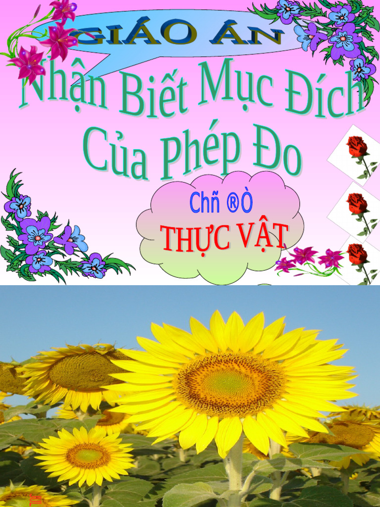 Tuan 1 phan loai van ban theo phuong thuc bieu dat pdf