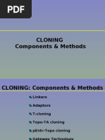 Download Cloning Methods by Ram Nivas Ahirwar SN7983119 doc pdf