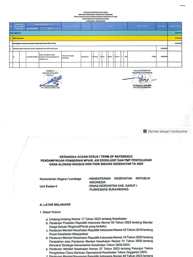 Rab Dan Tor Pendampingan MP Asi | PDF