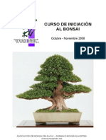 Curso Bonsai Quercus 2008