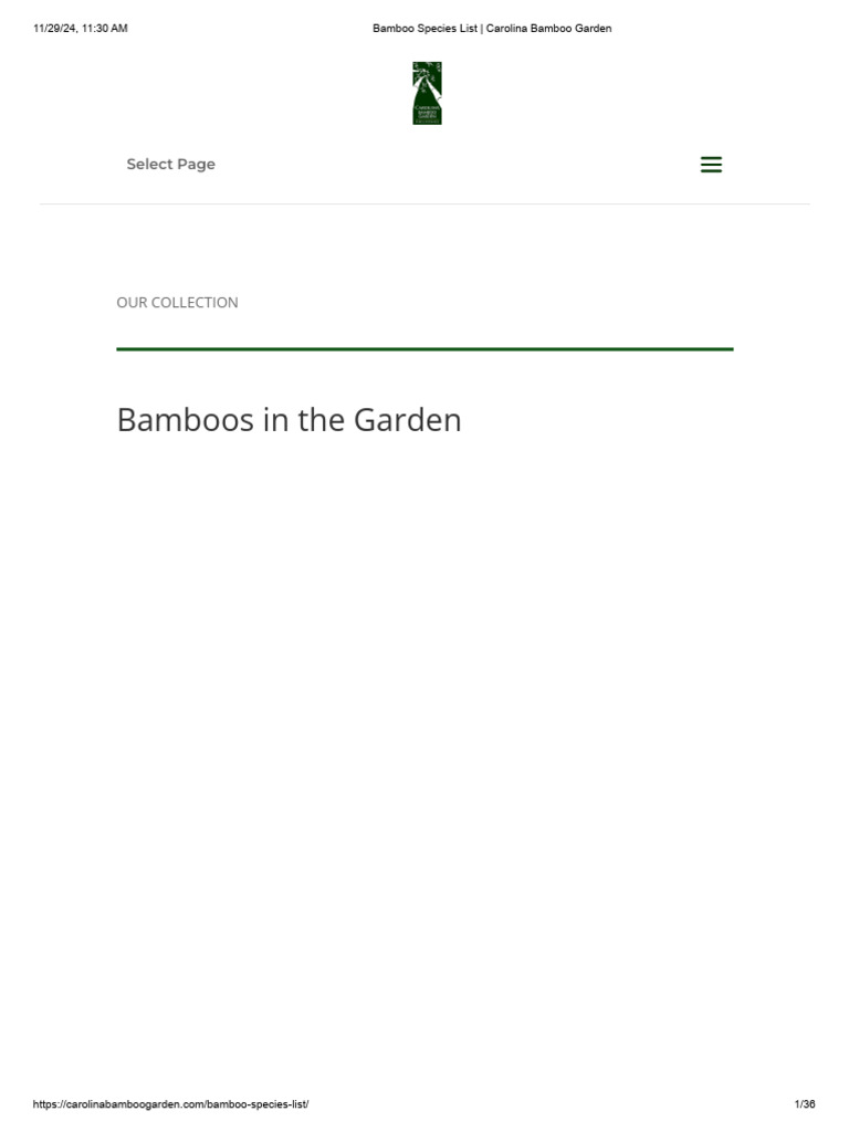 Bamboo Species List - Carolina Bamboo Garden | PDF | Bamboo | Basket ...