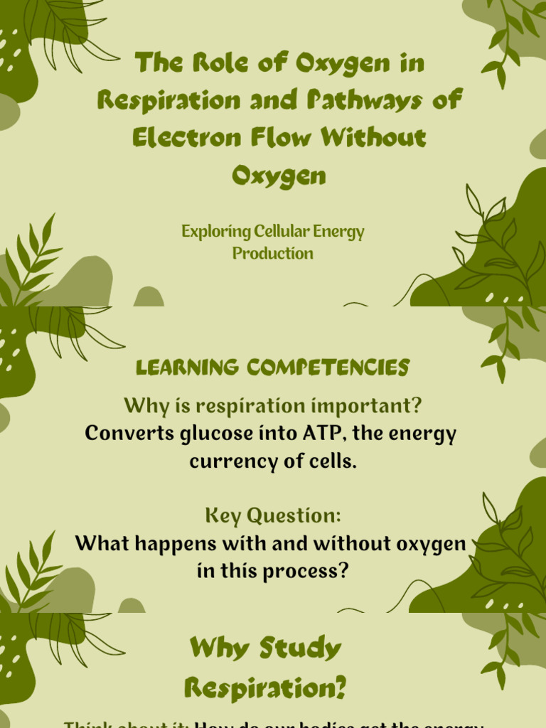 Oxygen's Role in Cellular Respiration | PDF | Cellular Respiration ...