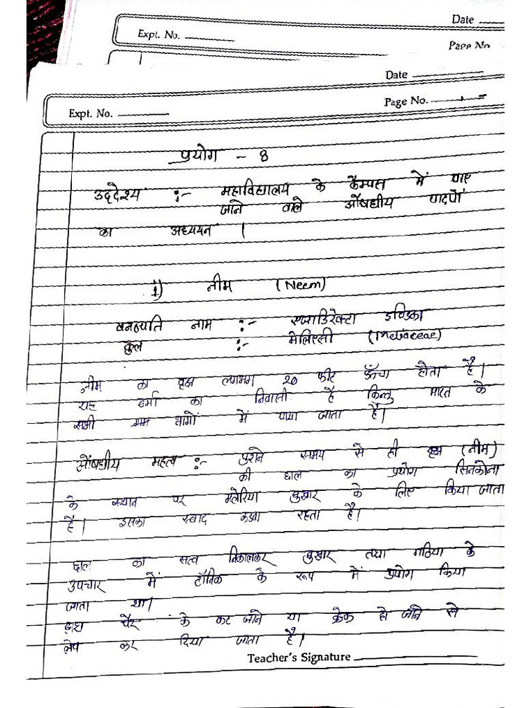Botany Practical BSC | PDF