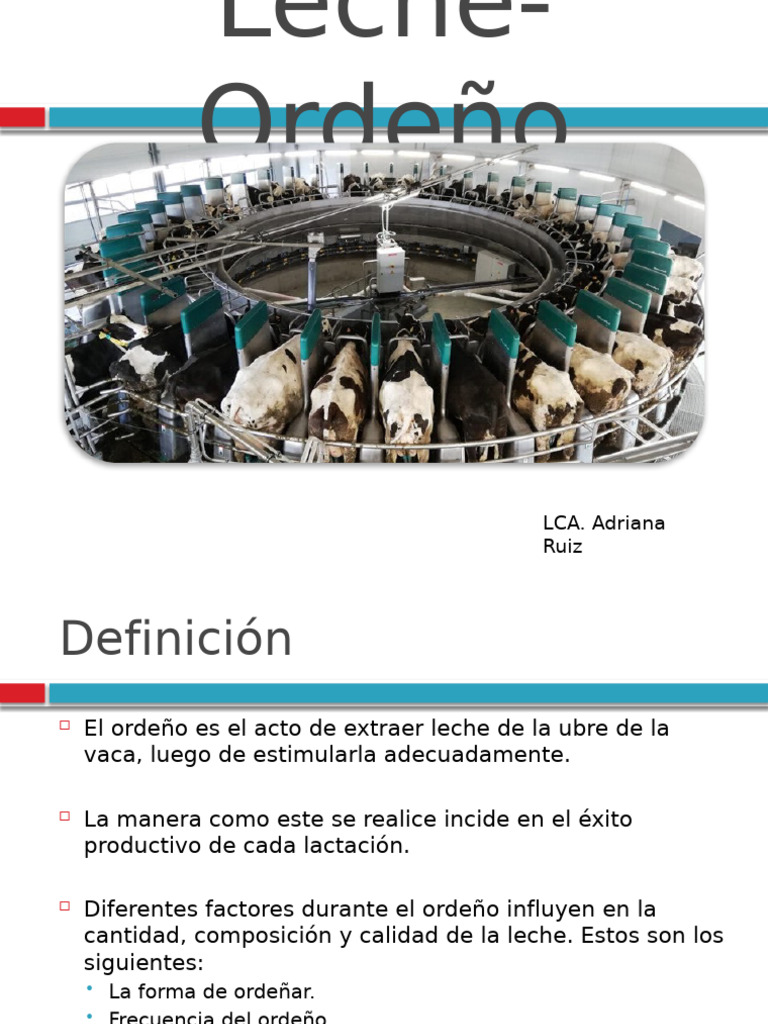 Planos y Tipos de Ordeño Manual | PDF | Leche | Vacío