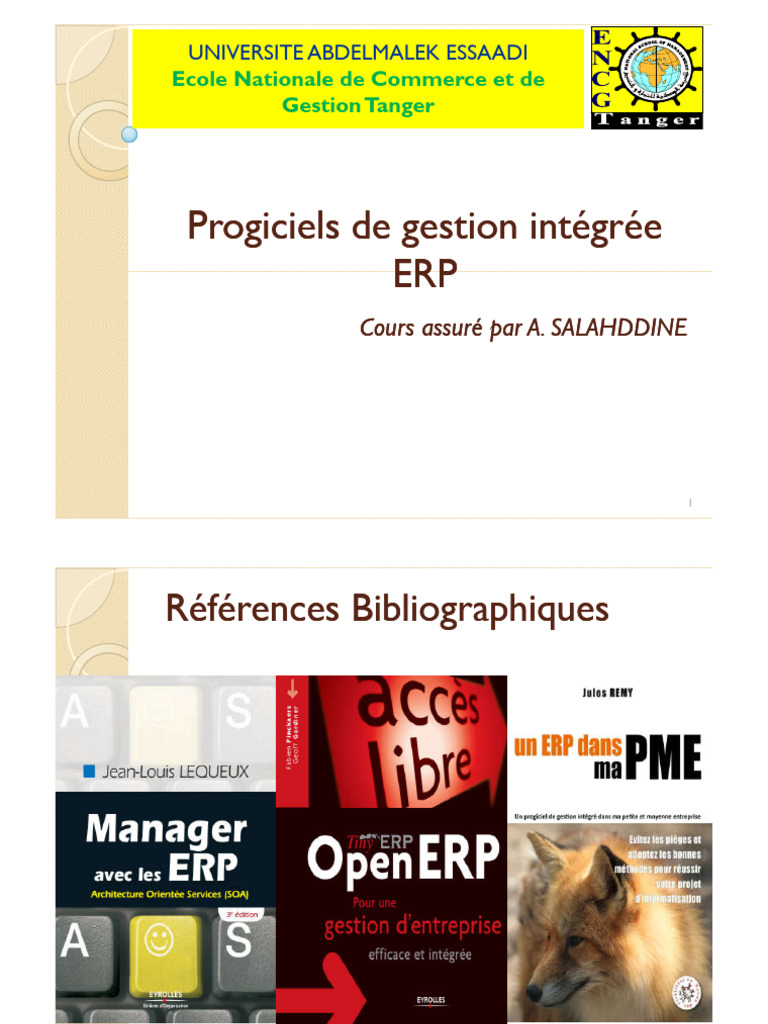 Présentation des Progiciels ERP | PDF | Progiciel de gestion intégré ...
