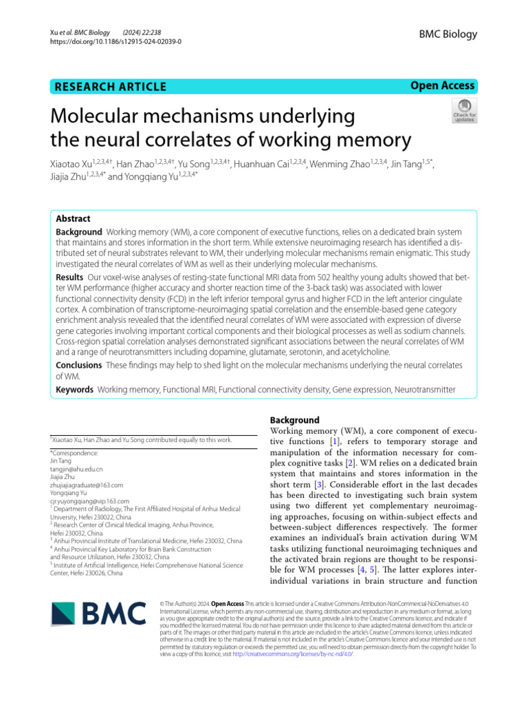Molecular Mechanisms Underlying The Neural Correlates of Working Memory ...