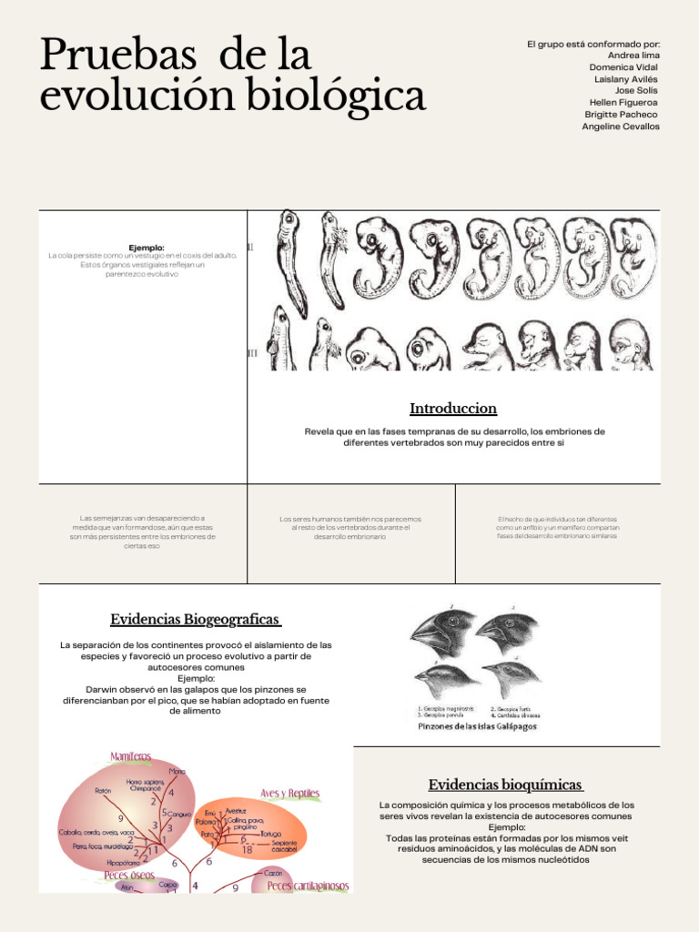 Papelote 20240613 174011 0000 | PDF | Evolución | Genética