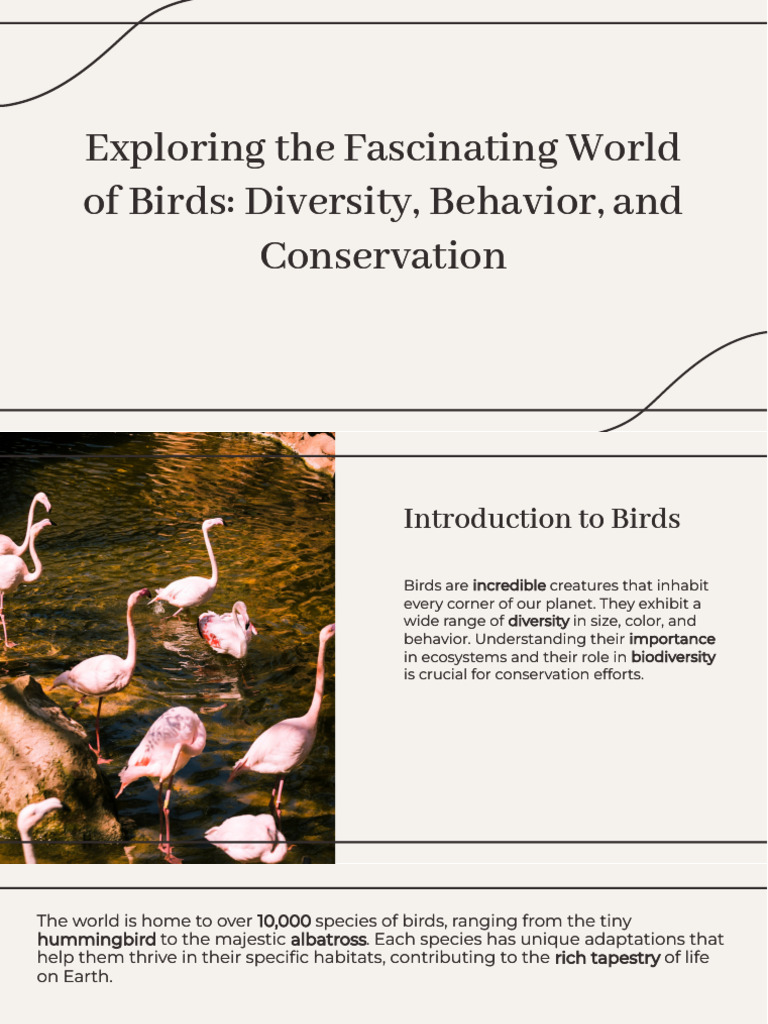 Birds | PDF