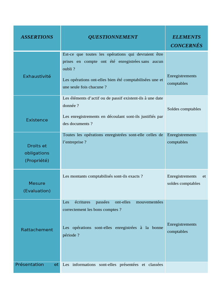 Les 7 assertions d'audit expliquées | PDF