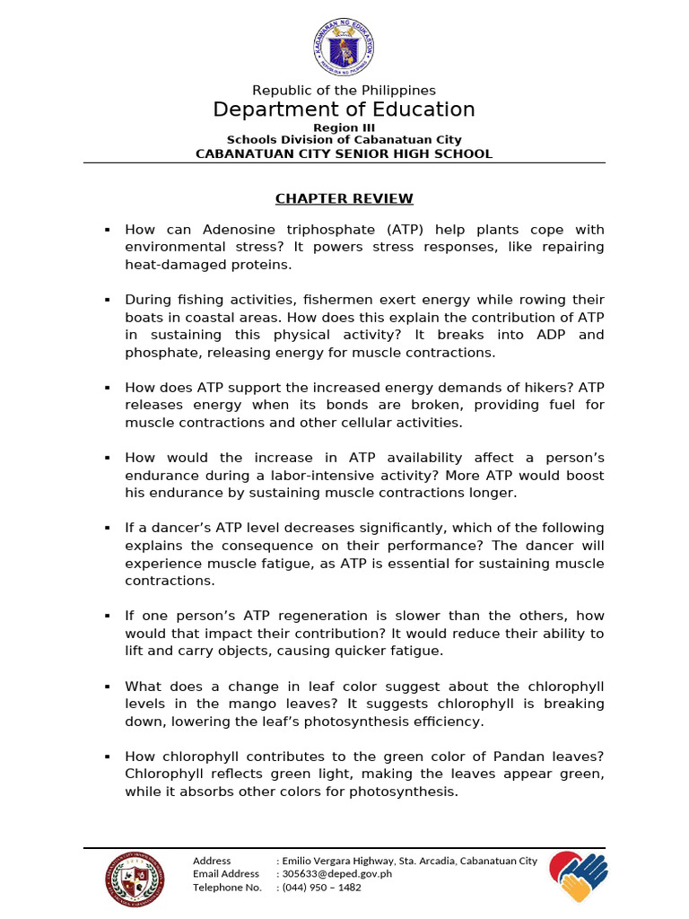 Chapter Review | PDF | Cellular Respiration | Photosynthesis