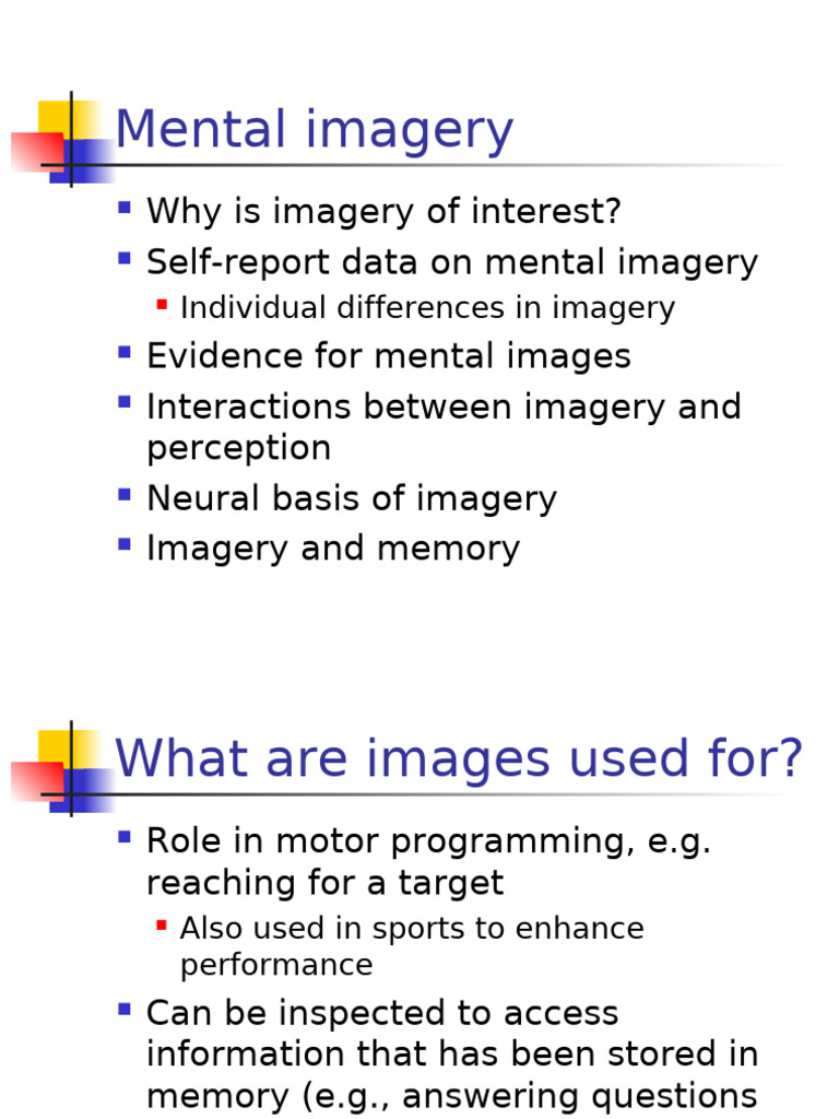 Understanding Mental Imagery and Memory | PDF | Mental Image | Memory