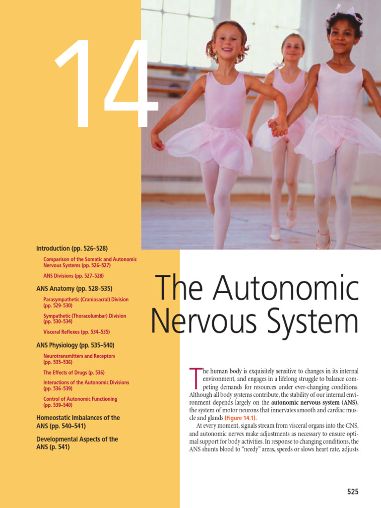 Autonomic Nervous System Overview | PDF | Autonomic Nervous System ...