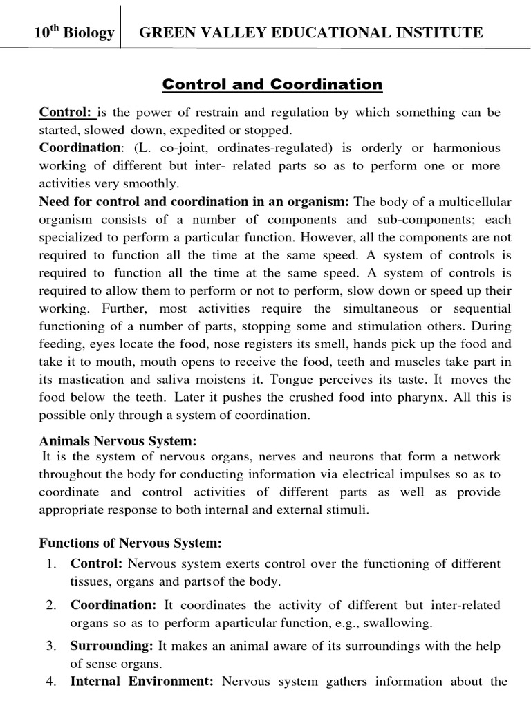 Control and Coordination | PDF | Nerve | Chemical Synapse