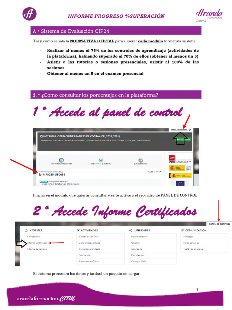 Informe de Progreso y Superación CIP24 | PDF