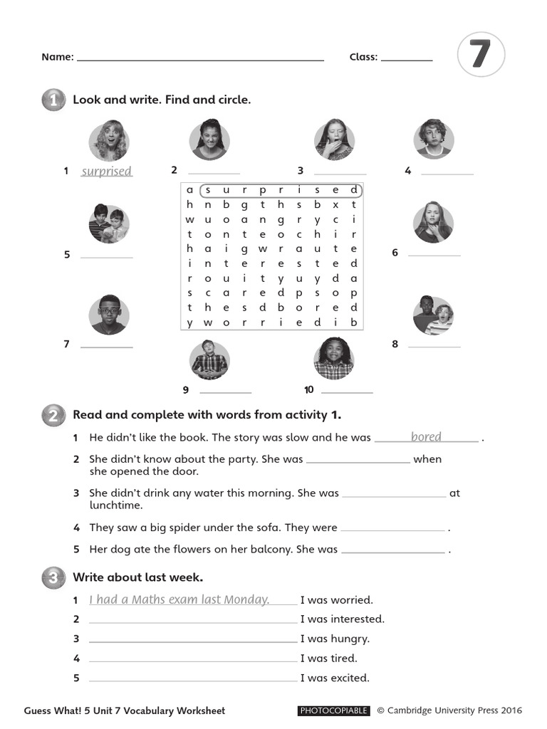 Unit 7 Vocabulary and Grammar Worksheet | PDF