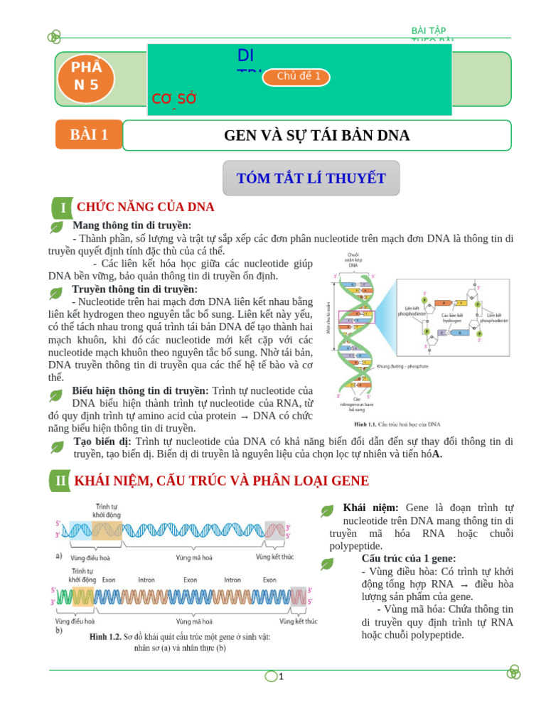 Bài 1 Gene Và Sự Tái Bản Dna | PDF
