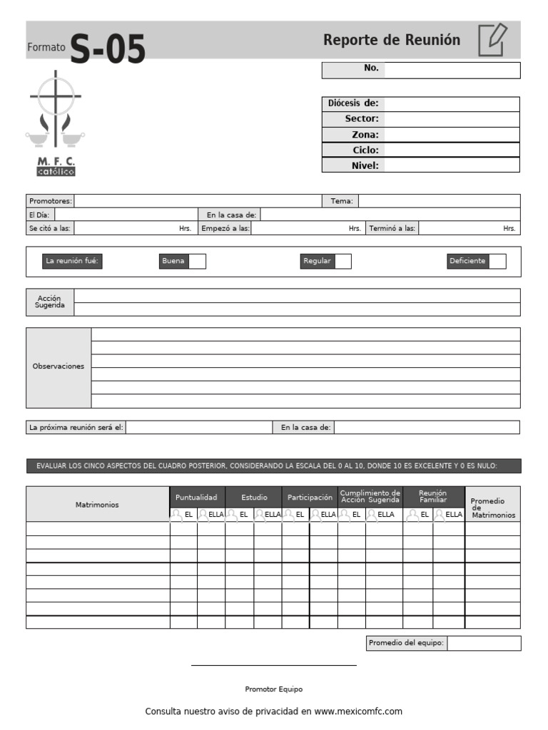 Formato S-05: Reporte de Reunión | PDF