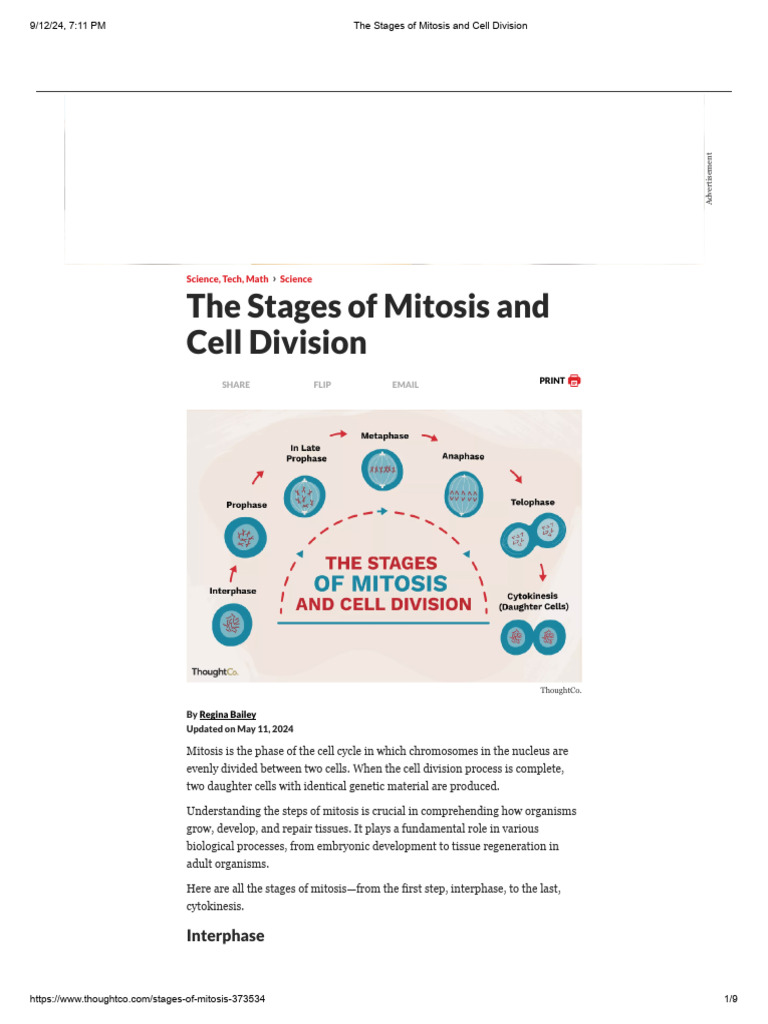 Last Step of Mitosis: Cytokinesis | PDF | Mitosis | Meiosis