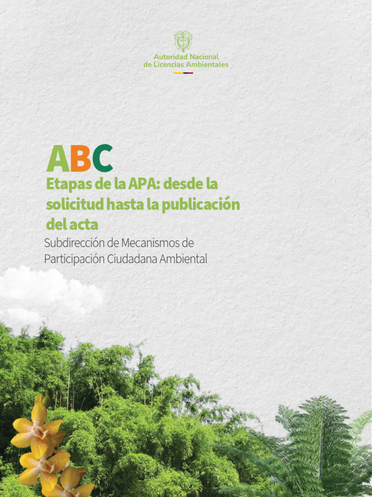 ABC Etapas de La Apa | PDF | Gobierno