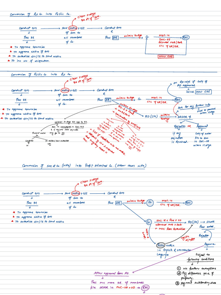 SBILL Conversion of Company | PDF