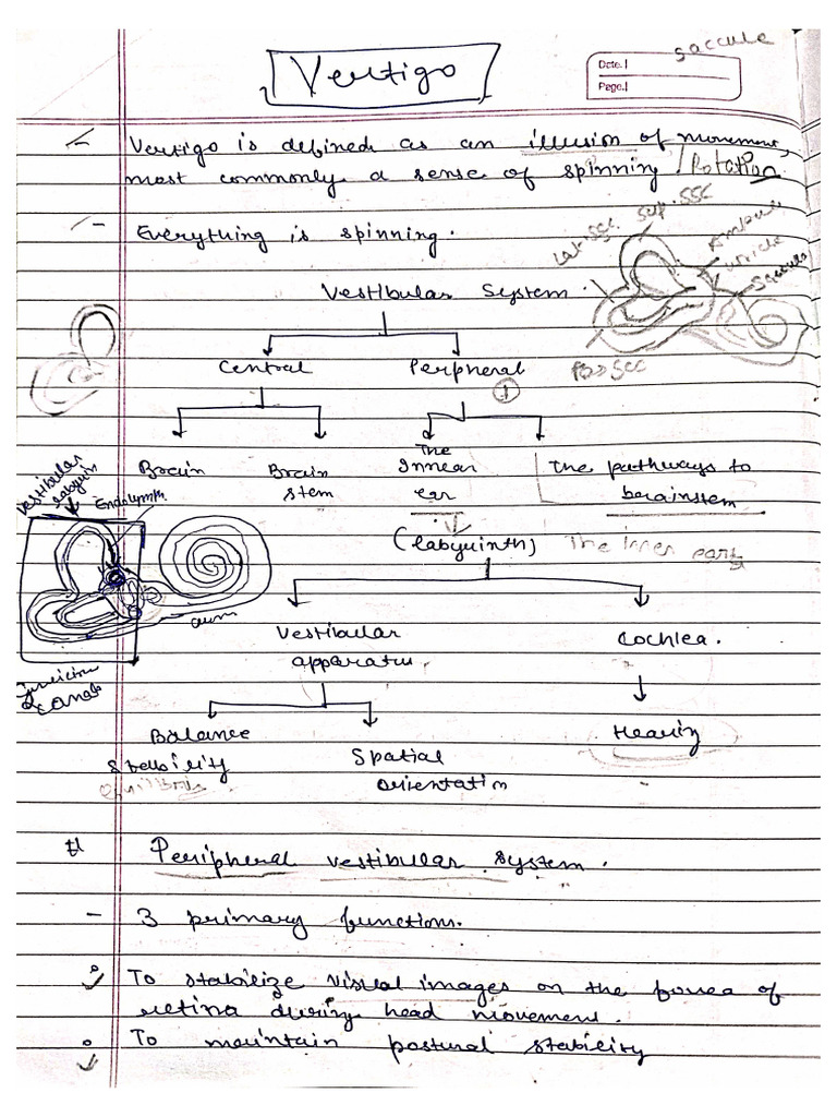 Vertigo BPPV | PDF