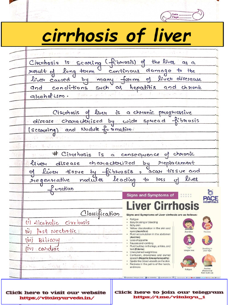 Liver visual data 6