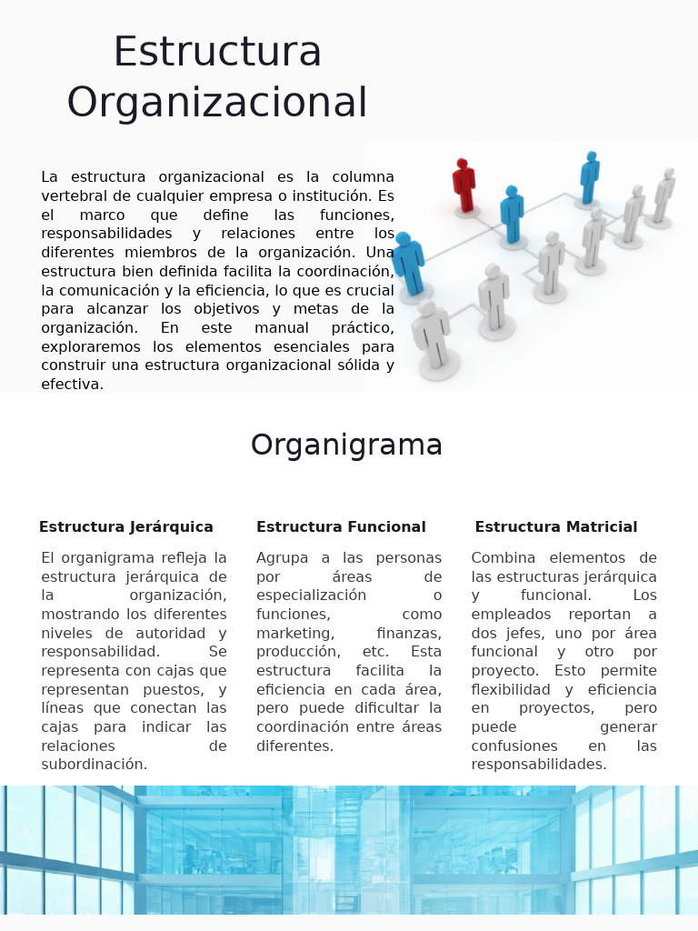 Guía de Estructura Organizacional | PDF | Business | Economias