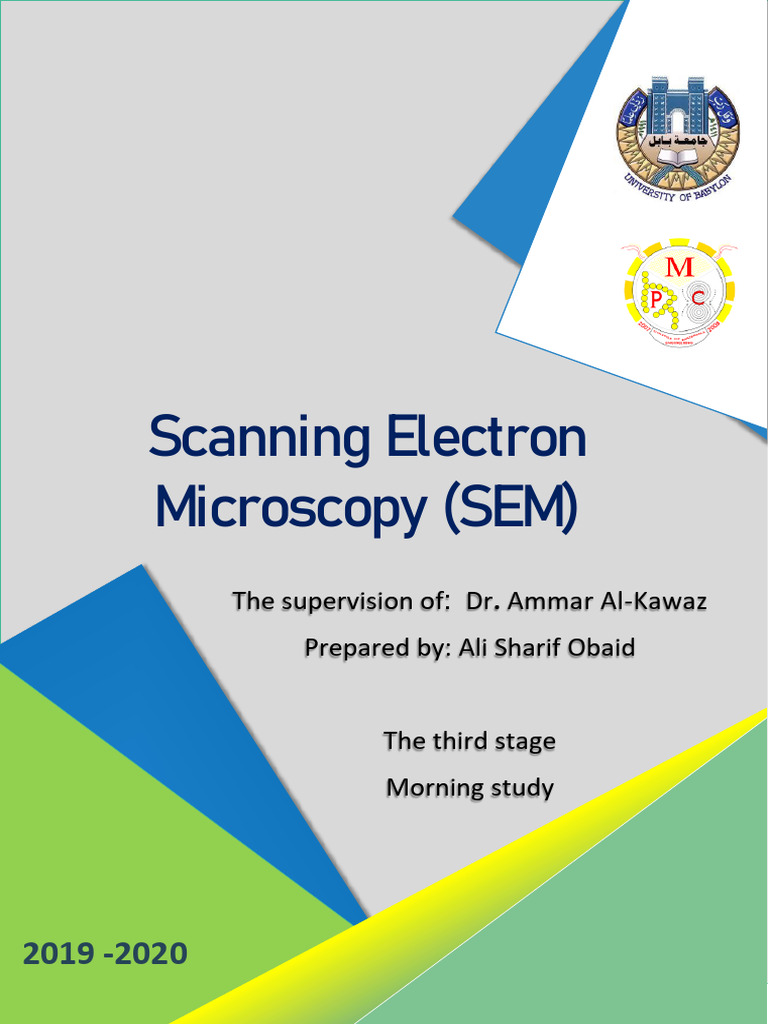 Scanning Electron Microscopy Overview | PDF | Scanning Electron ...