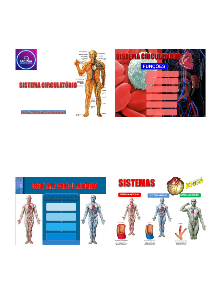 aula-sistema-circulat-rio-pdf-cora-o-veia