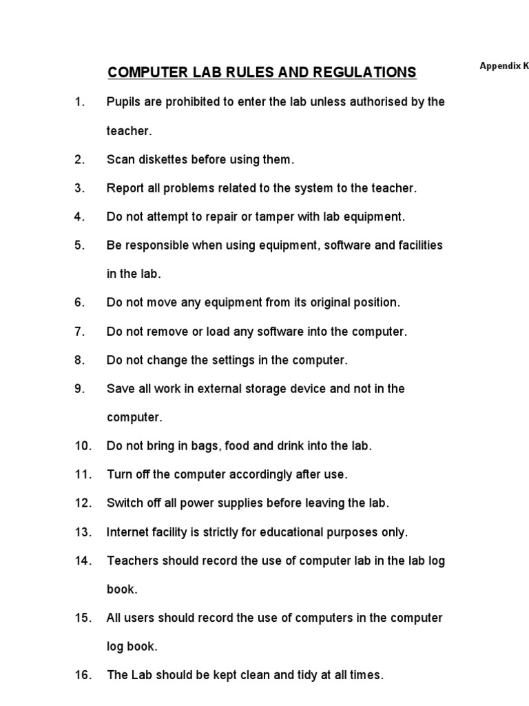 Computer Lab Rules and Regulations PDF