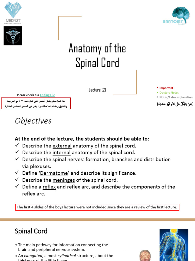 Spinal Cord Anatomy and Functions Guide | PDF | Spinal Cord | Vertebral ...