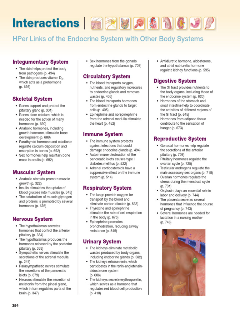 Endocrine System Interactions Overview | PDF | Endocrine System | Hormone