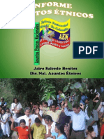 Informe AEN 2011