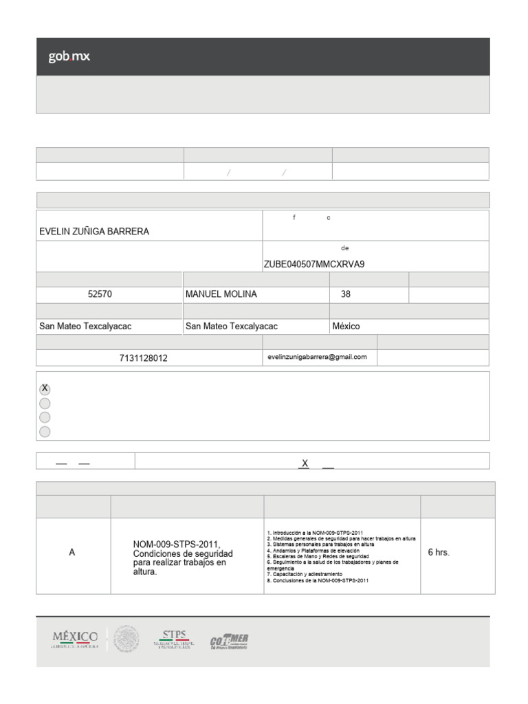 Stps Formato DC 5 | PDF