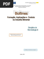 Biofilmes - Formação, Implicações e Controlo na industria alimentar