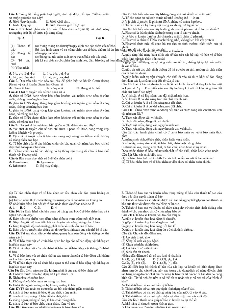 HS - Buoi 5 | PDF
