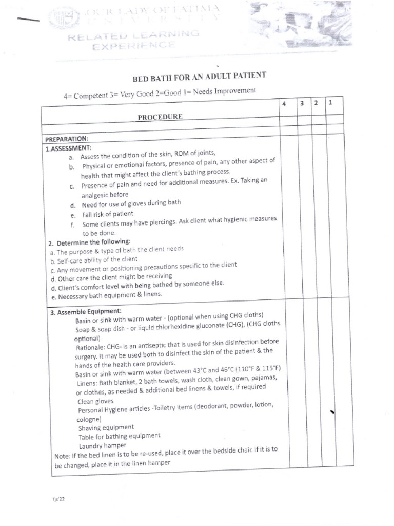 Bed Bath For An Adult Patient | PDF