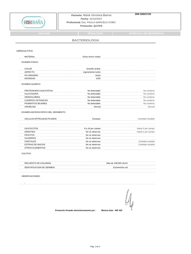 Pedido 17475 | PDF | Sistema urinario | Especialidades Medicas