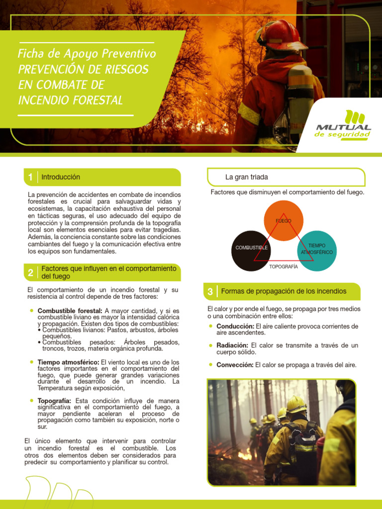 Fap Combate Incendios Forestales | PDF | Fuego fatuo | Incendios