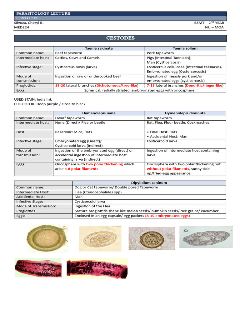 Lesson 2 Cestodes Trematodes Kahit 2.5 Lang Please | PDF | Medical ...