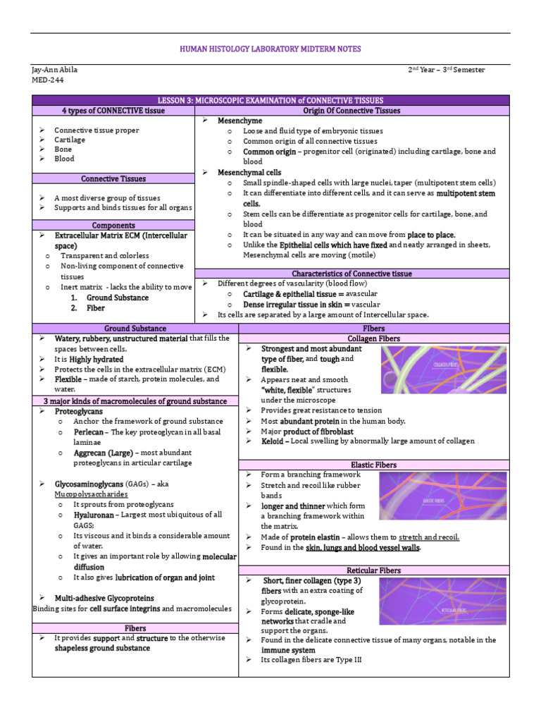 Topic 3 Connective Tissue | PDF | Connective Tissue | Extracellular Matrix