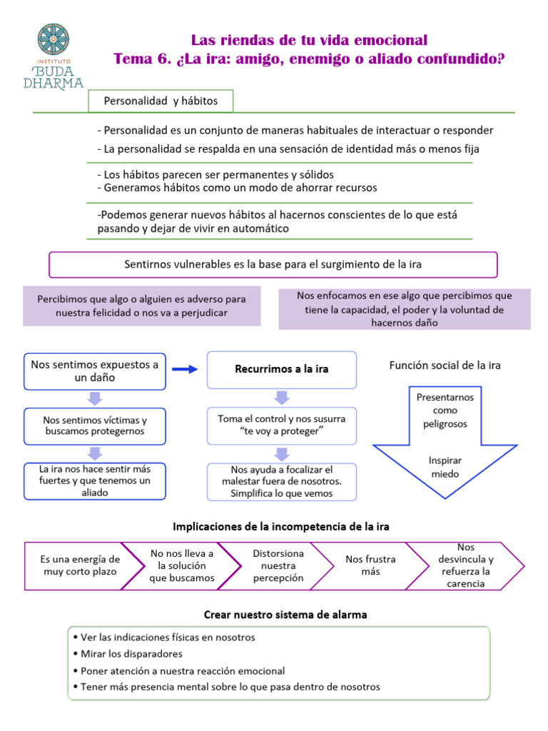 CVE6 Mapa Mental | PDF | Ira | Las emociones