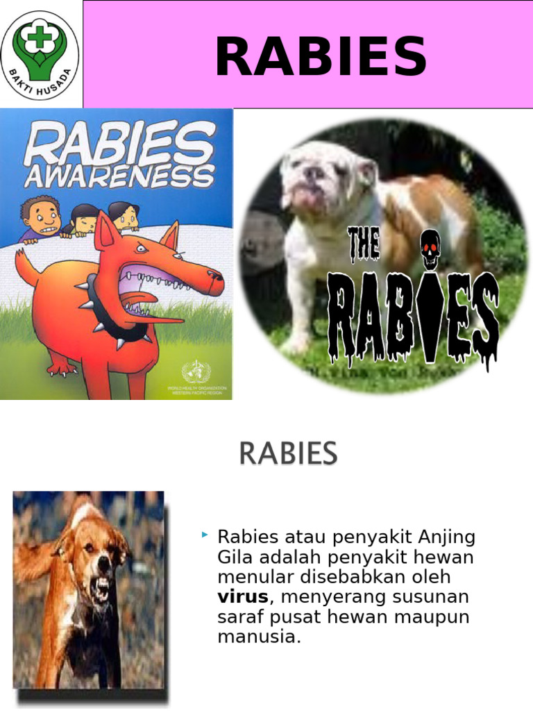Panduan Lengkap tentang Rabies | PDF