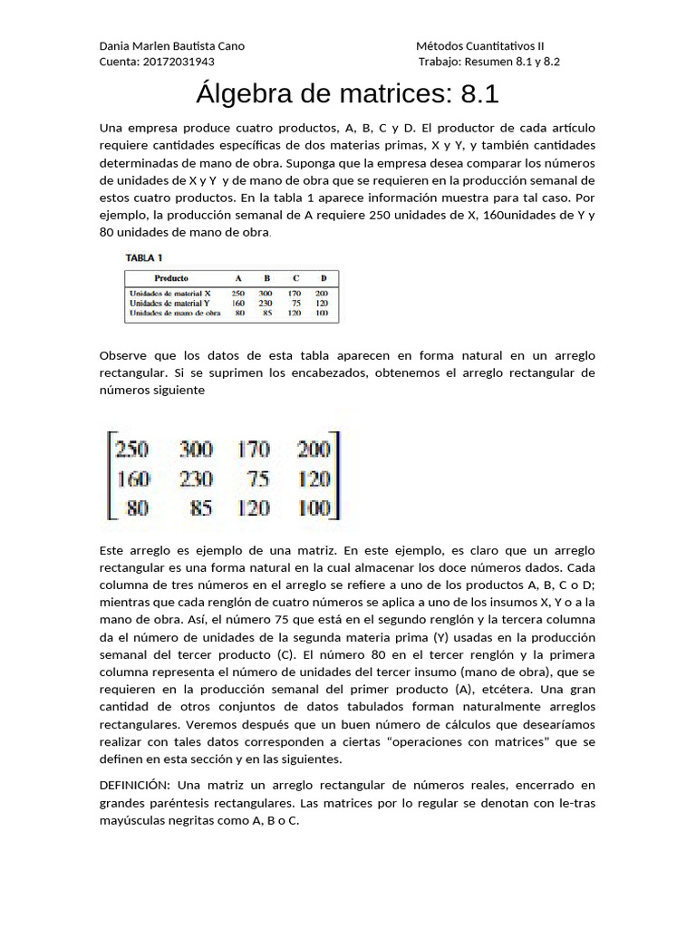 Álgebra de Matrices 8.1 | PDF | Matriz (Matemáticas) | Matemáticas