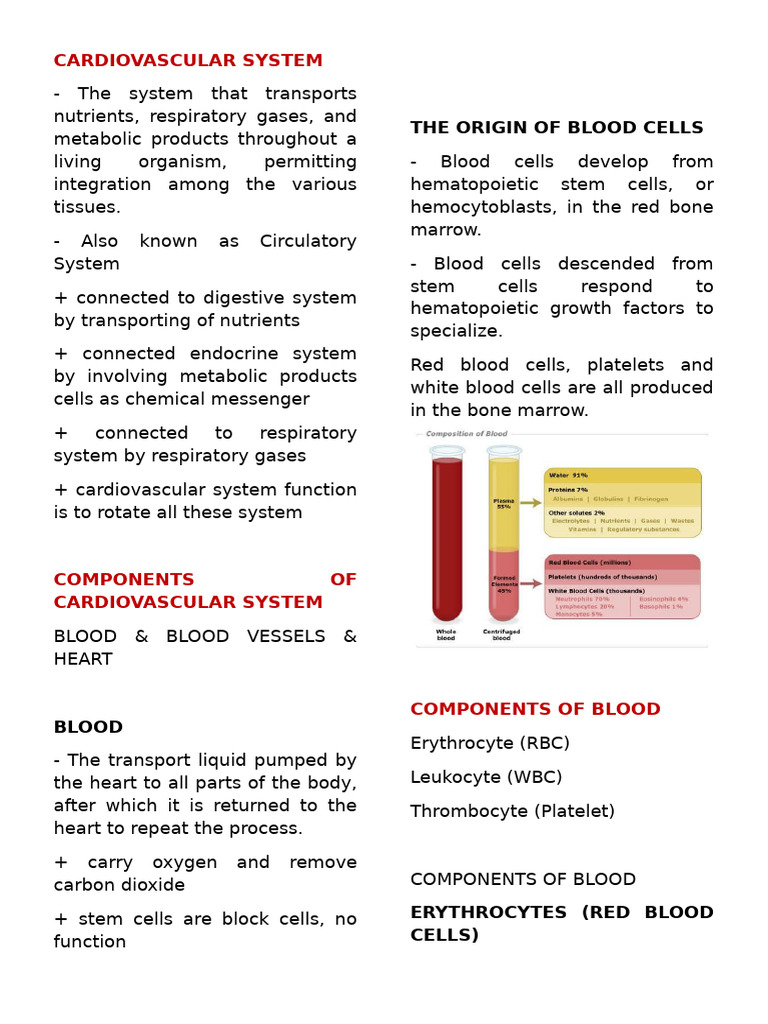 Overview of the Cardiovascular System | PDF | Aorta | Heart