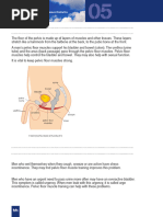 Pelvic Floor Exercises for Men | PDF | Pelvis | Urinary Incontinence