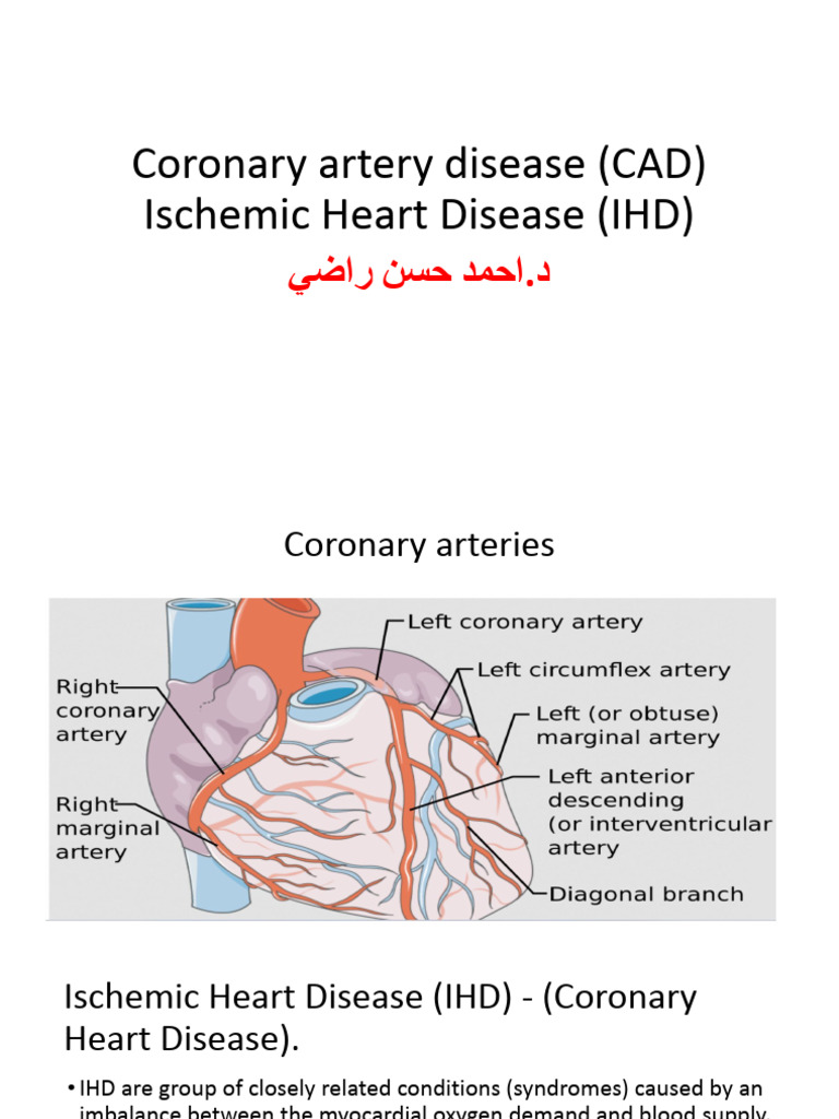 Understanding Coronary Artery Disease | PDF | Myocardial Infarction ...
