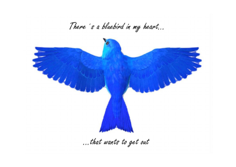 Bluebird | PDF